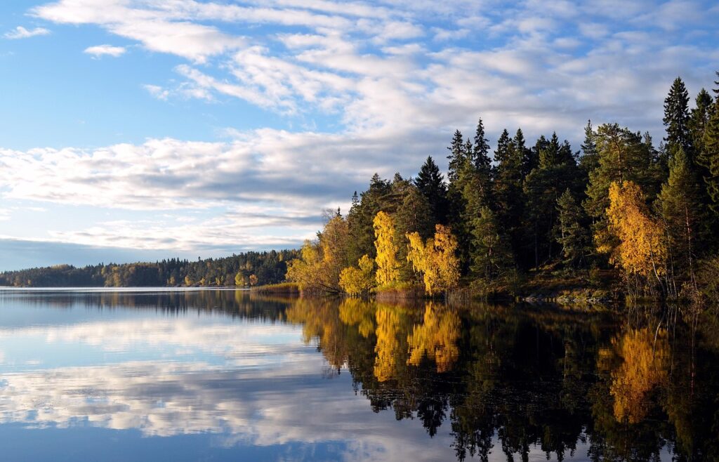lake with reflection of cloud and fall colored trees of yellows and greens on the shores.
image on Glossary - SARA page