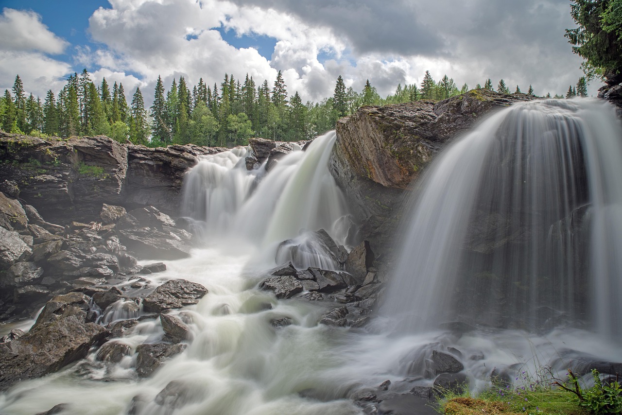 Waterfall with many large rock and a ling pine trees in the upper third of the image and water cascading over the rocks in a mist.
image on Glossary - SARA page