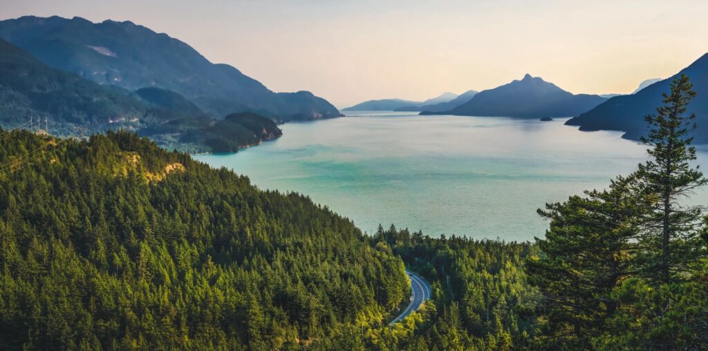 stock photo to fill space - forest with road leading to a lake and mountains
image on the Resources page