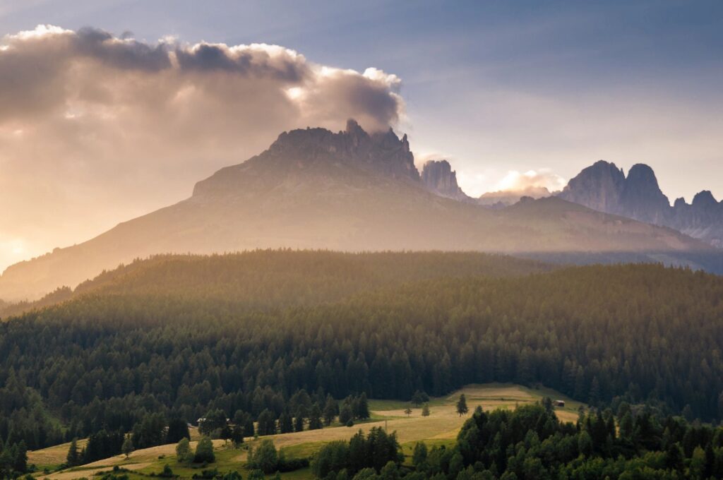 stock photo as a place holder
forest leading to a set of mountains
image on the Resources page