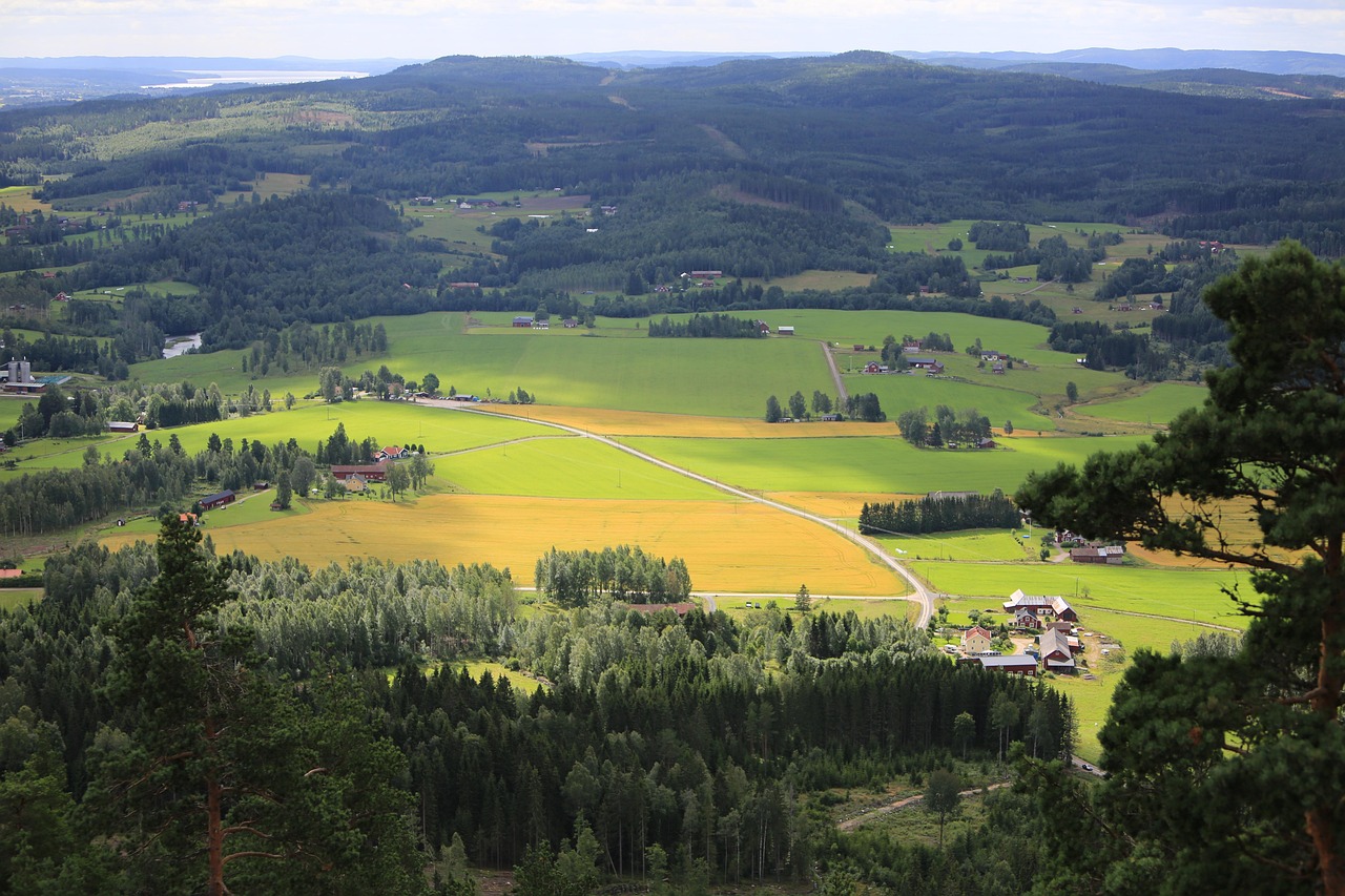 Varmland Sweden - open farm land with some roads and homesteads and trees around border of lands
image on Items for Sale page